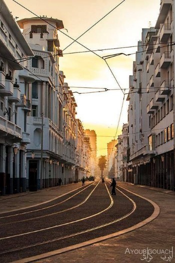 Visit the Beautiful white city of Casablanca