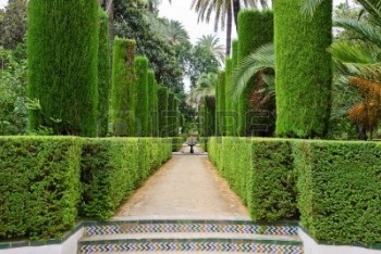 Andalusian Garden