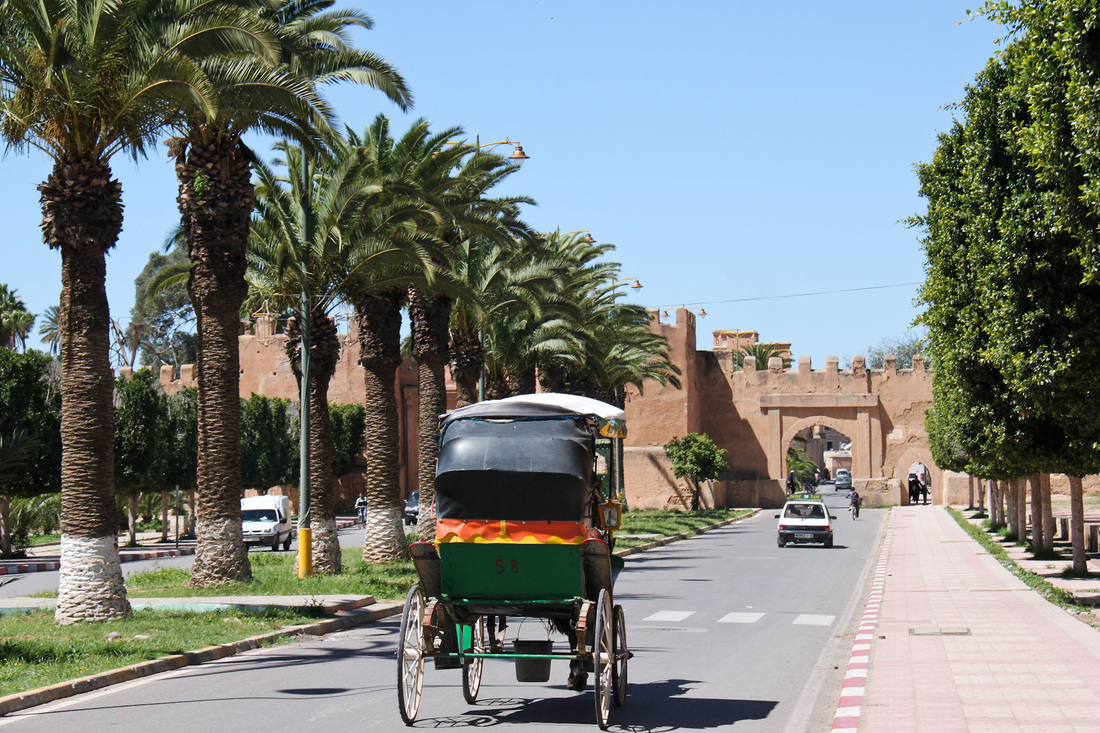 Tiout/ Taroudant 1 day trip